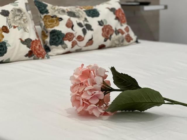 Hostal Rias Bajas Madrid Buitenkant foto